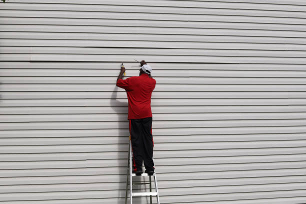 Best Vinyl Siding Installation  in Countryside, VA